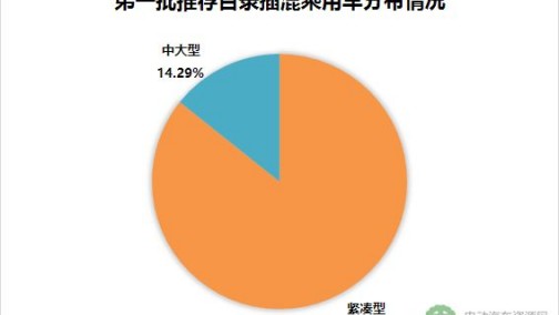 2018年首批推荐目录乘用车详解 微型车最高续航达315km！