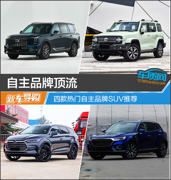 SUV，自主品牌，比亚迪，坦克300，自主suv,坦克300，广汽传祺GS8，比亚迪唐，红旗HS5