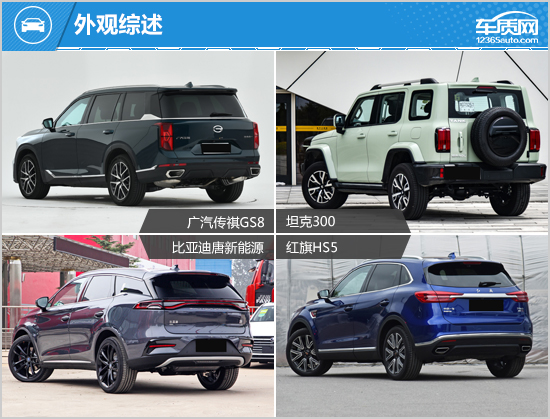 SUV，自主品牌，比亚迪，坦克300，自主suv,坦克300，广汽传祺GS8，比亚迪唐，红旗HS5