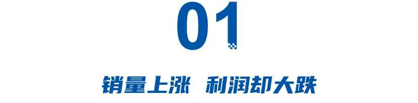 急了！利润暴跌80%、电车无人问津......东本高管怒批国产车背后，难掩合资颓势